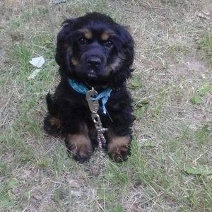 Meet your Posher, Marco